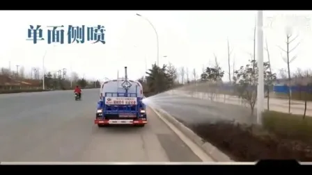 Shacman F3000 Water Bowser Sprinkler Watering Tanker Vehicle 
