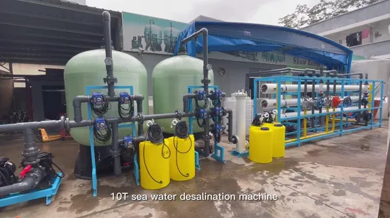 Salt Sea Water Treatment Desalination Plant Seawater Desalination System Machines Price Reverse Osmosis System Drinking Plant Water Purifier in China 